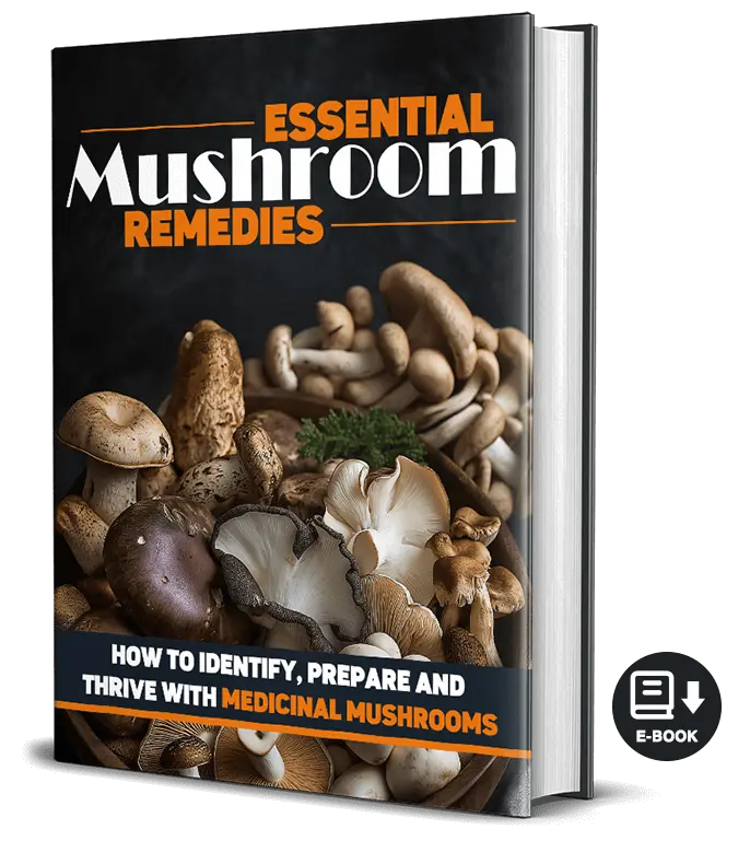 Essential Mushroom Remedies