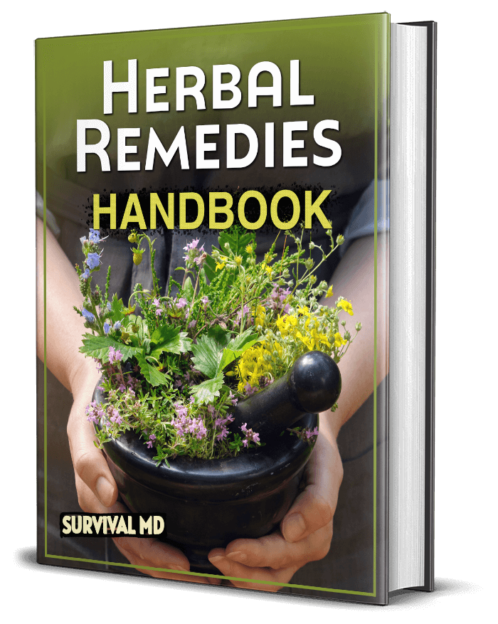 Herbal Remedies Handbook