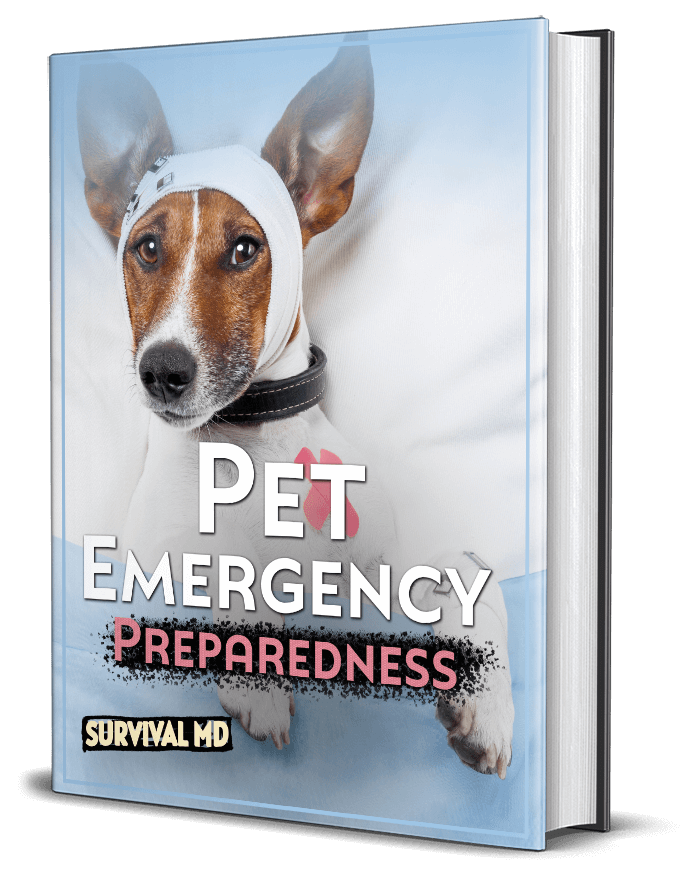 Pet Emergency Preparedness