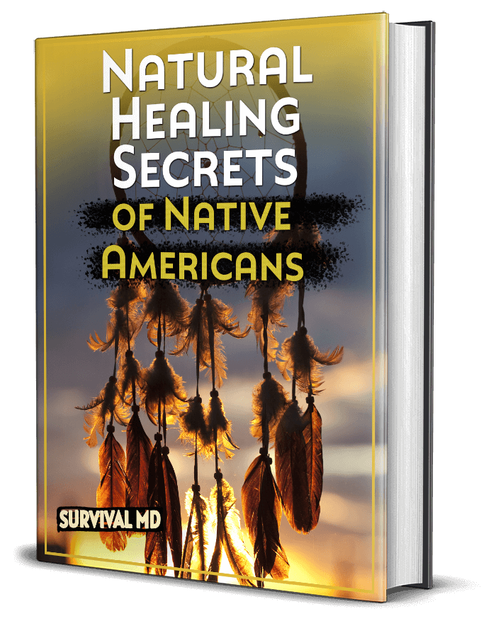 Natural Healing Secrets of Native Americans