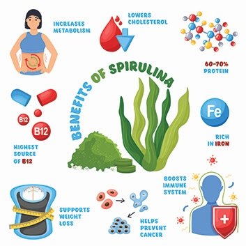 Schema/Drawing which shows the benefits of spirulina