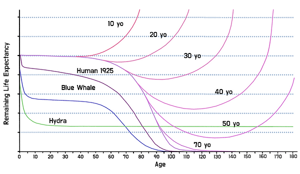 Life expectancy on time line chart