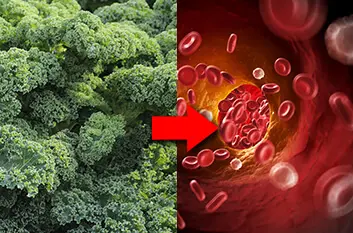 Kale and red blood cells, arrow running from left to right